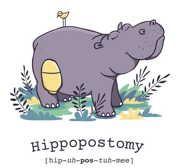 Hippopostomy! Our first ostomy design.