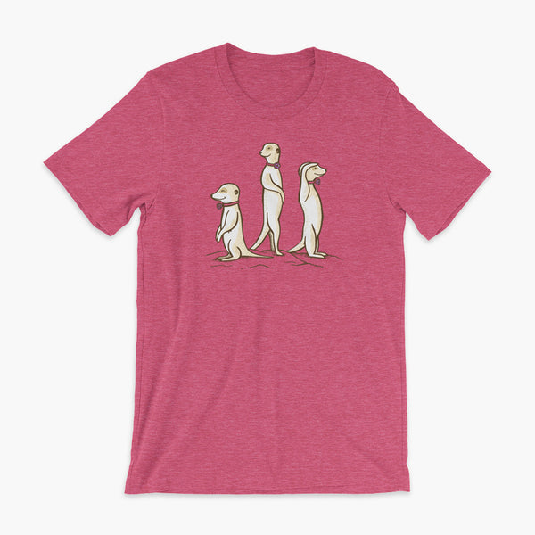 Three Passy Meerkats looking around and smiling with Passy Muir Valves and trach tracheostomy heather raspberry adult t-shirt for stoma life 